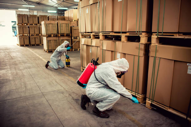 Reliable Wellsville, KS Pest Control Solutions