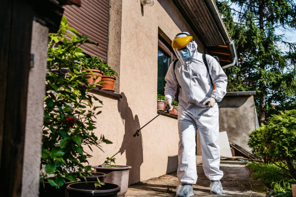 Best Residential Pest Control  in Wellsville, KS